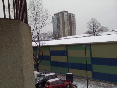 In the Snow
