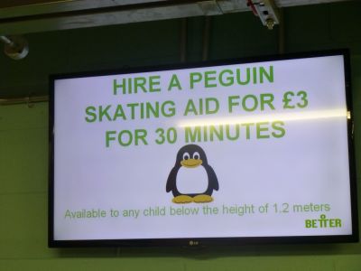 Ice Rink Looping TV Display
