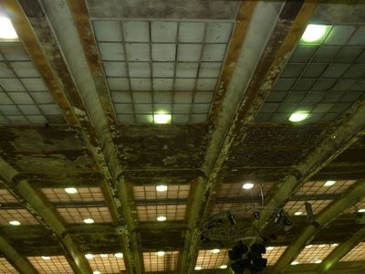 Ceiling
