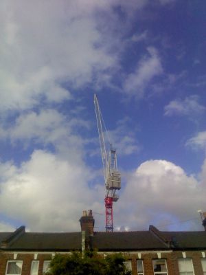 Crane from Ellora Road
