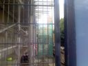 20121119_08_natal8.jpg