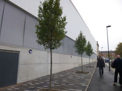 Side of Leisure Centre from Natal Road (New Paving and Trees)
