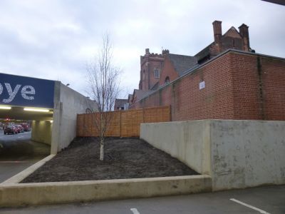 New Landscaping behind Church
