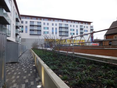 Flats and Planting near Car Park Steps
