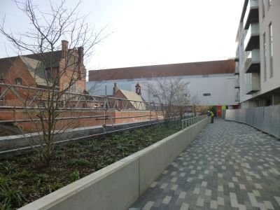 Planting behind Church
