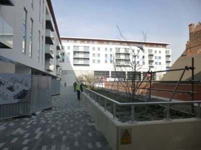 Planting behind Church
